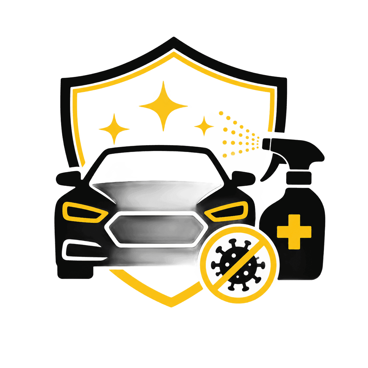 Car Sanitization